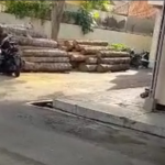 gelondongan kayu kelapa