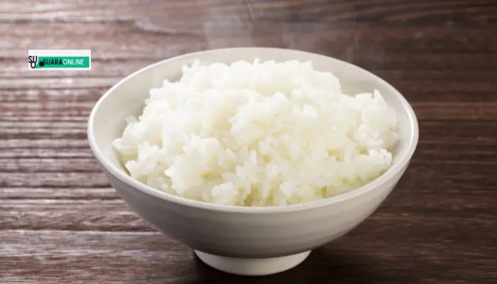 viral stok nasi beku, praktis dan banyak manfaat