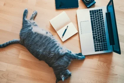 Sayang Bila Dilewatkan! Ini Dia 7 Tips Menghilangkan Rasa Malas yang Bisa Dipraktikkan