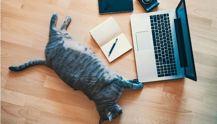 Sayang Bila Dilewatkan! Ini Dia 7 Tips Menghilangkan Rasa Malas yang Bisa Dipraktikkan