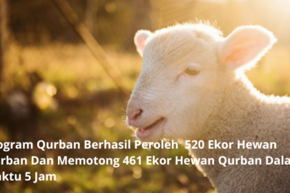 program qurban alfatihah