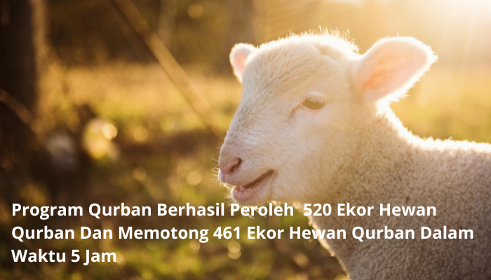 program qurban alfatihah