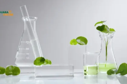 4 Manfaat Centella Asiatica Untuk Kesehatan Kulit