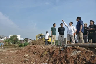 revitalisasi sungai ciliwung
