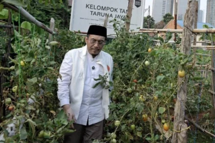 urban farming