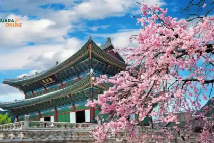 Mengenal 4 Musim di Korea, Mulai Dari Tumbuhnya Bunga Sakura Hingga Turunnya Salju!