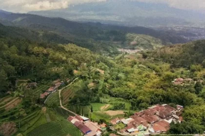 Destinasi Wisata Goa Pinus Pujon