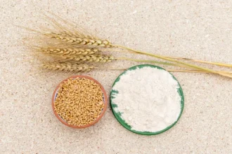 Nasi dan Roti Sebagai Sumber Karbohidrat Utama