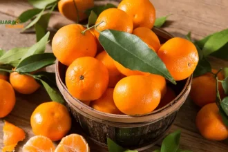 Makna Jeruk Sebagai Simbolis Imlek yang Jarang Diketahui Banyak Orang