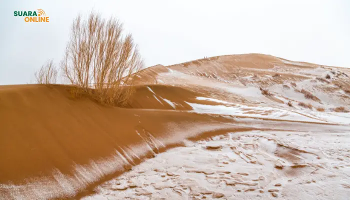 Gurun Sahara