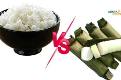 Perbandingan Kalori Nasi dan Lontong, Mana yang Lebih Baik?