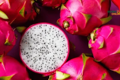 5 Manfaat Buah Naga untuk Kesehatan: Kaya Antioksidan dan Serat!