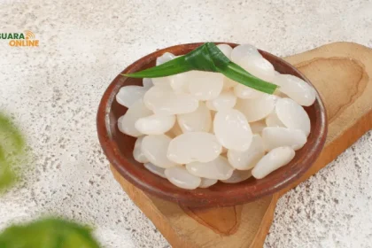Cara Mengolah Kolang-Kaling agar Lebih Empuk dan Tidak Pahit