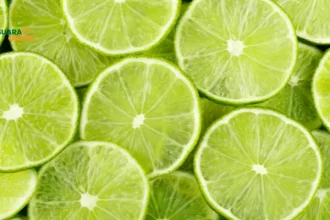 5 Jenis Jeruk Lokal Indonesia yang Kaya Manfaat dan Rasa