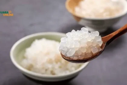 Kandungan Kalori Rendah! Ini Alasan Beras Shirataki Lebih Sehat dari Beras Biasa