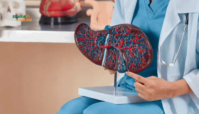5 Makanan Penyebab Kerusakan Liver, Waspada Nomor 3 Paling Sering Dikonsumsi!