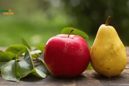 Detoks Ginjal Tanpa Obat? 6 Buah Ini Bisa Jadi Solusinya