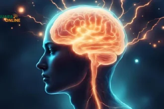 Mengenal Long Term Memory, Apa Itu? Inilah Pengertian dan Jenisnya!