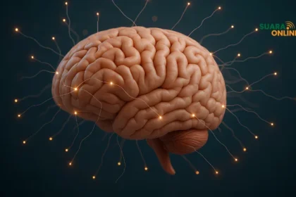 Brain Rot: Bahaya Sering Menonton Konten Receh di Medsos dan 5 Cara Mengatasinya!