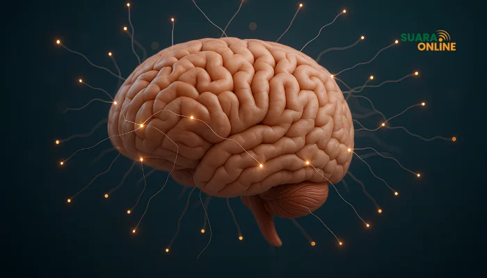 Brain Rot: Bahaya Sering Menonton Konten Receh di Medsos dan 5 Cara Mengatasinya!
