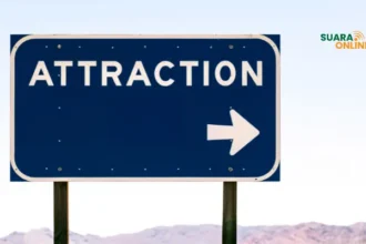 Mengenal Law of Attraction dalam Kehidupan dan 4 Cara Mewujudkannya!