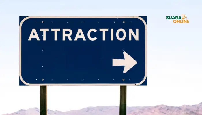 Mengenal Law of Attraction dalam Kehidupan dan 4 Cara Mewujudkannya!