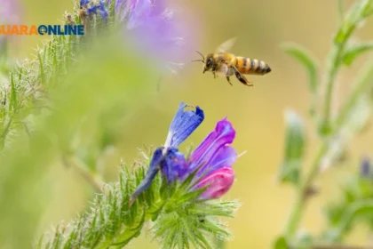 Queen Bee Syndrome: Ketika Perempuan Merasa Tersaingi dan 5 Cara Mengatasinya!