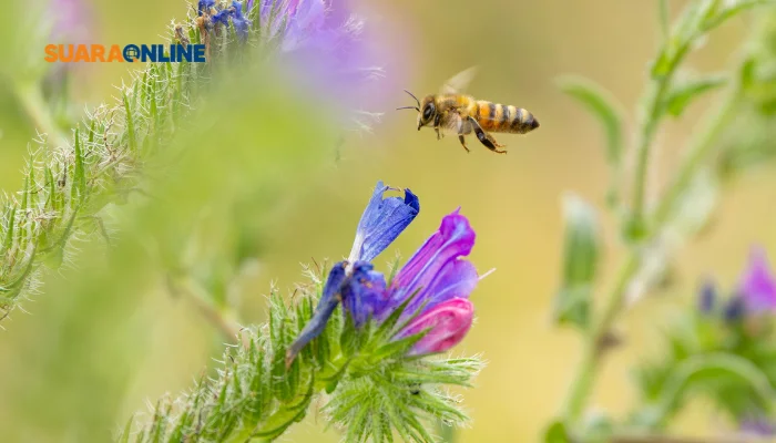 Queen Bee Syndrome: Ketika Perempuan Merasa Tersaingi dan 5 Cara Mengatasinya!