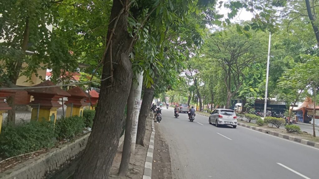 Pepohonan di Depan Kampus USM Semarang Ciptakan Suasana Teduh di Tengah Cuaca Panas