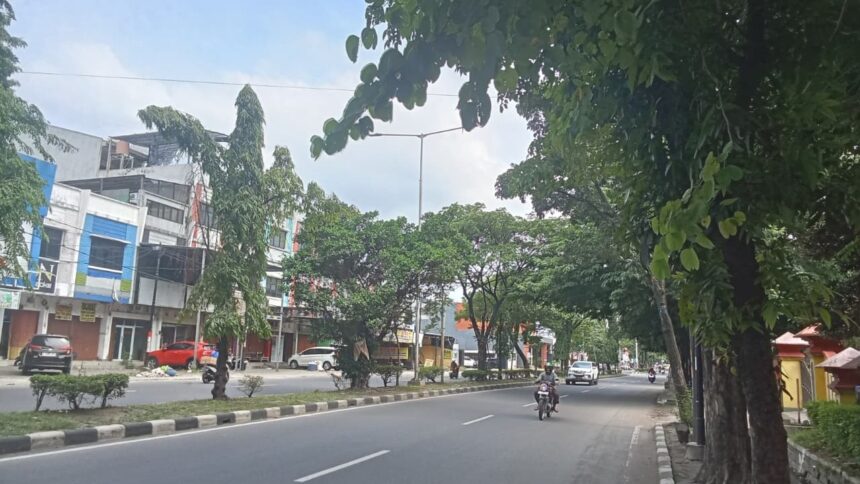 Pepohonan di Depan Kampus USM Semarang Ciptakan Suasana Teduh di Tengah Cuaca Panas