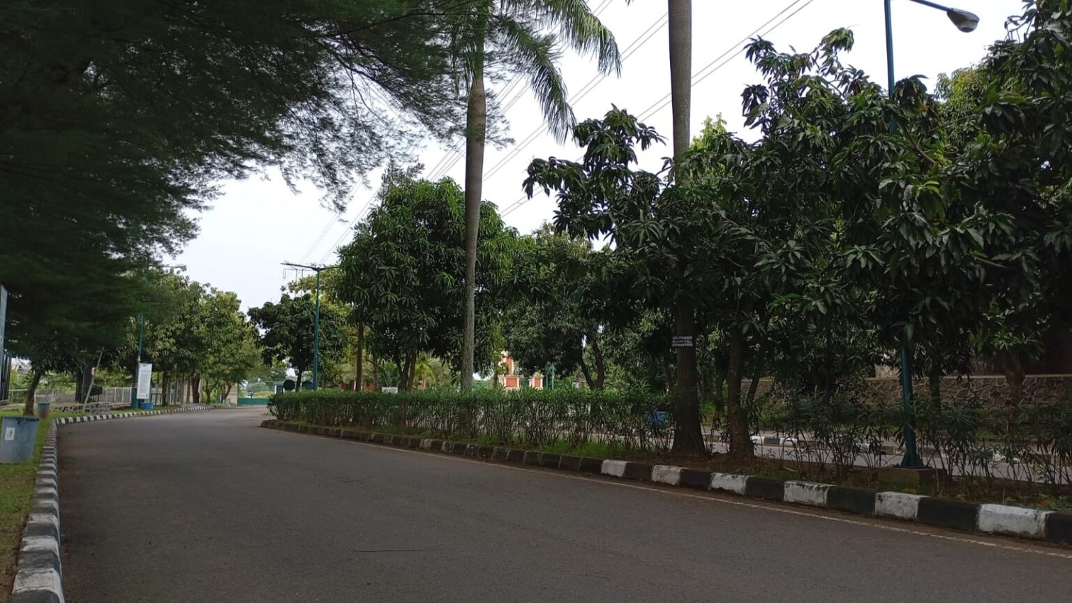 Area Masjid Agung Jawa Tengah Dimanfaatkan Warga untuk Jogging dan Aktivitas Olahraga