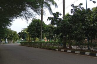 Area Masjid Agung Jawa Tengah Dimanfaatkan Warga untuk Jogging dan Aktivitas Olahraga