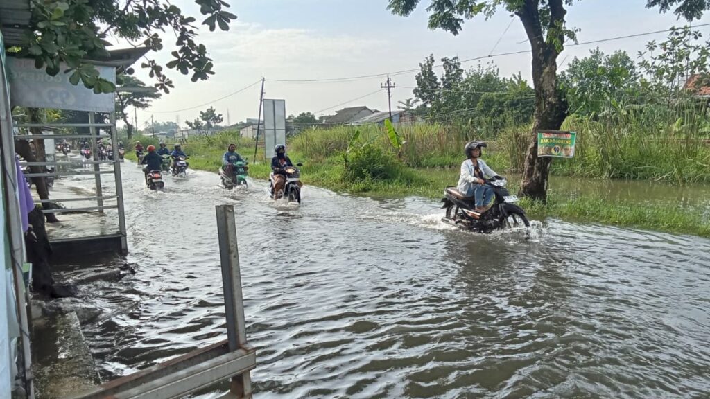 Banjir Kembali Rendam Jalan Muktiharjo Raya Genuk, Aktivitas Warga Terganggu