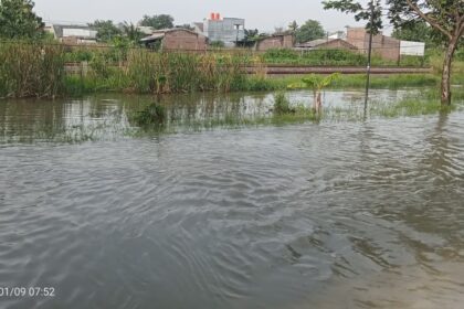 Banjir Kembali Rendam Jalan Muktiharjo Raya Genuk, Aktivitas Warga Terganggu