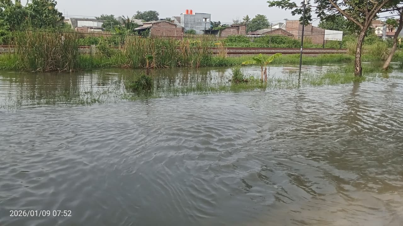 Banjir Kembali Rendam Jalan Muktiharjo Raya Genuk, Aktivitas Warga Terganggu