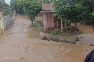 Banjir di Pati Rendam Lahan Pertanian, Aktivitas Petani Terhenti dan Ancaman Gagal Panen Meningkat
