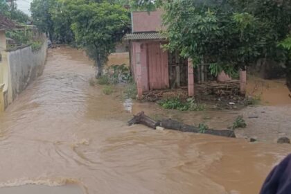 Banjir di Pati Rendam Lahan Pertanian, Aktivitas Petani Terhenti dan Ancaman Gagal Panen Meningkat