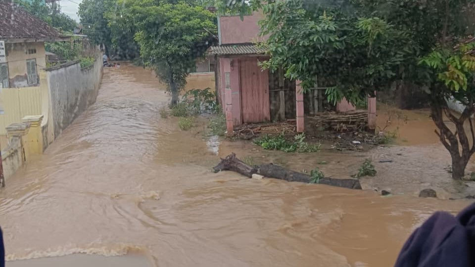 Banjir di Pati Rendam Lahan Pertanian, Aktivitas Petani Terhenti dan Ancaman Gagal Panen Meningkat