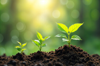 Bertumbuh Tanpa Harus Membuktikan Apa pun kepada Siapa pun