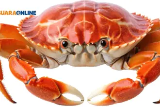 Crab Mentality: 3 Tanda Kamu Sering Iri Karena Pencapaian Orang Lain!