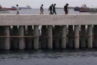 Proyek Pembangunan Giant Sea Wall di Demak Disetujui, Pembangunan Dimulai 2026