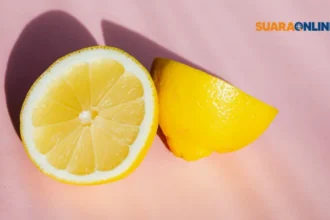 Lemonading Mindset: Pemikiran Hidup Sederhana yang Membuat Lebih Bahagia dan 5 Alasan Menerapkannya!