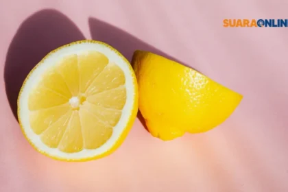 Lemonading Mindset: Pemikiran Hidup Sederhana yang Membuat Lebih Bahagia dan 5 Alasan Menerapkannya!