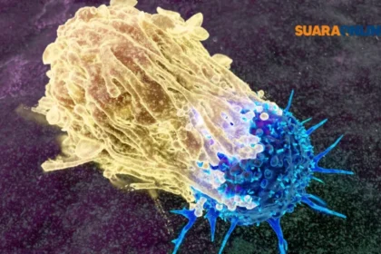 Makanan Anti Kanker, Inilah 7 Jenis-jenisnya yang Wajib Kamu Coba Demi Mencegah Perkembangannya!