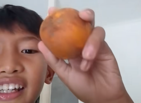 Siswa Keluhkan Menu MBG saat Ramadan, Soroti Dugaan Kesenjangan di Sejumlah Daerah