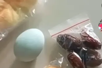 MBG di Bulan Ramadhan Banjir Kritik Warganet