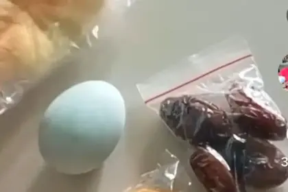 MBG di Bulan Ramadhan Banjir Kritik Warganet