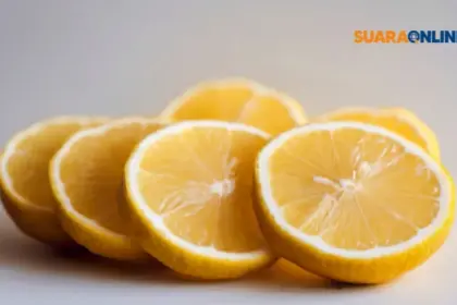 Lemonading Mindset: Pemikiran Hidup Sederhana yang Membuat Lebih Bahagia dan 5 Alasan Menerapkannya!