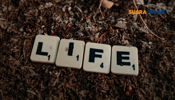 Life Reset: Cara Memulai Hidup dari Nol Tanpa Takut dan Tanpa Penyesalan