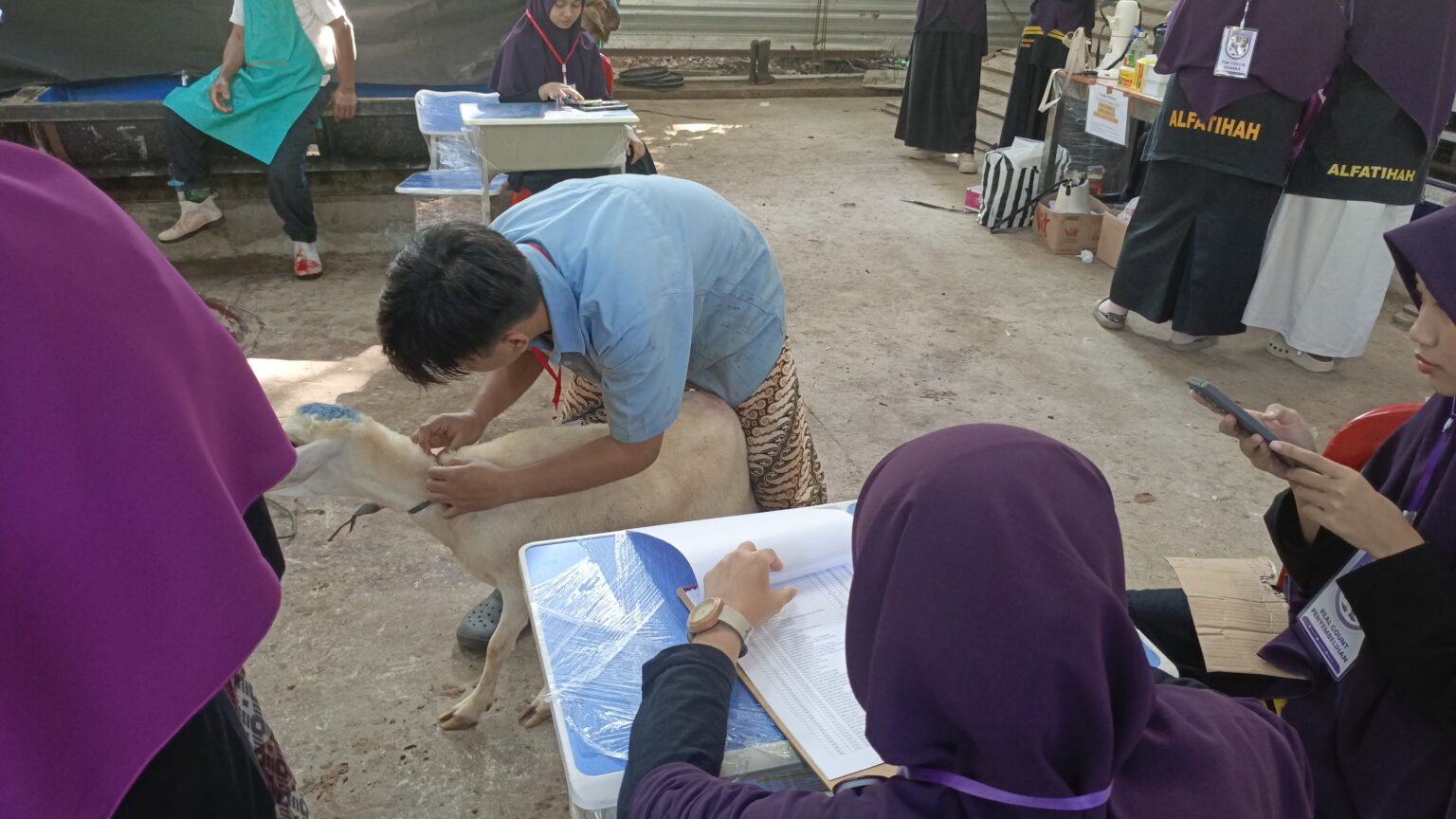 Jaga Amanah Pequrban, Alfatihah Terapkan Sistem Pencatatan Hewan Kurban